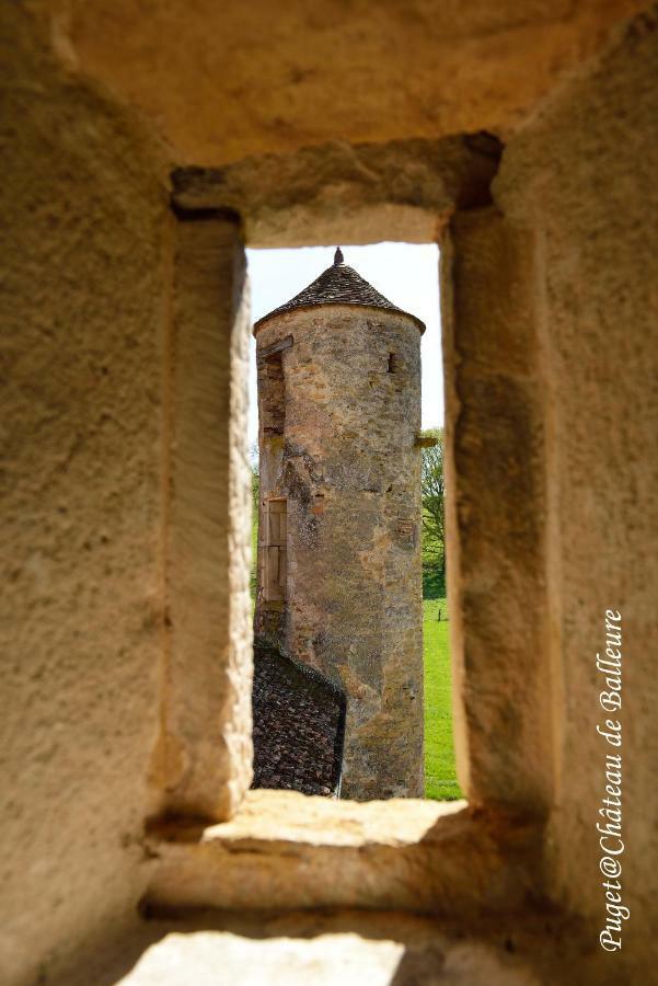 Chateau De Balleure Etrigny ภายนอก รูปภาพ